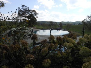 Vanishing Edge Pool in Abbingdon,VA